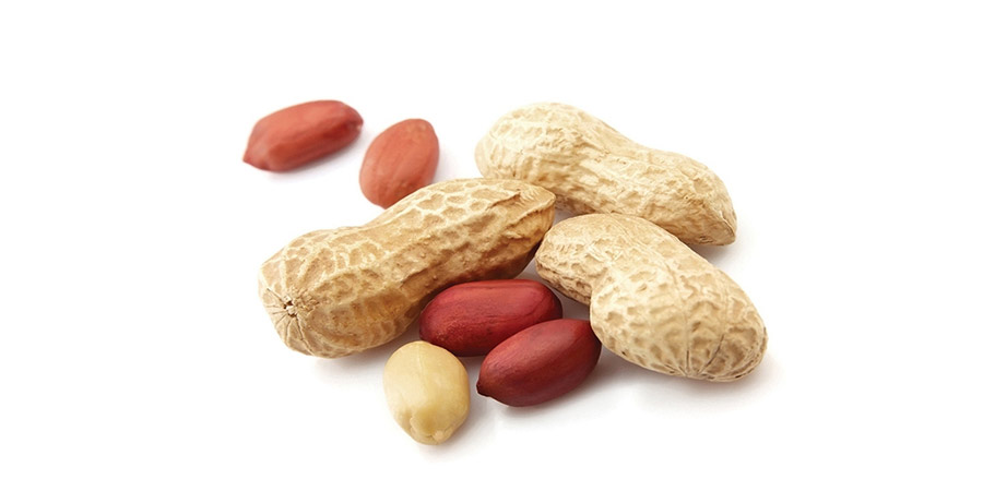 Ground nut kernels