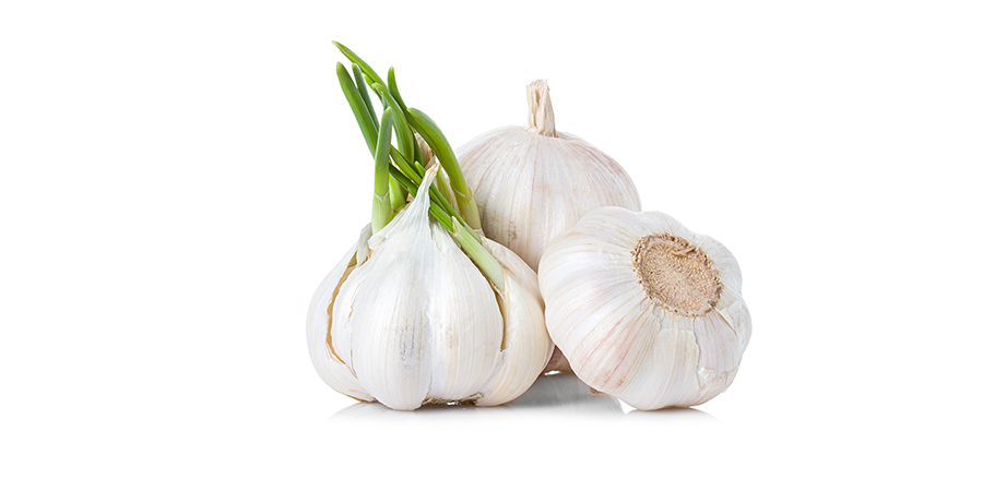 Garlic
